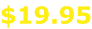 $19.95